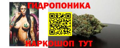дурь Гатчина