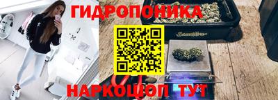 мдпв Гагарин
