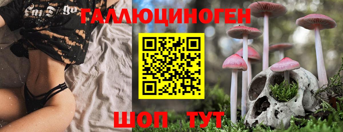 Галлюциногенные грибы прущие грибы  Псилоцибиновые грибы ЛСД  купить  цена  Мценск  Вход с VPN 